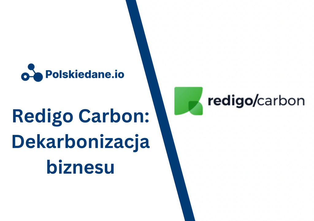 Redigo Carbon: innowacyjne podejście do dekarbonizacji&nbsp;biznesu